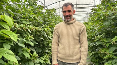 Grégory Rousset produit 15 à 20 tonnes de framboises par an.